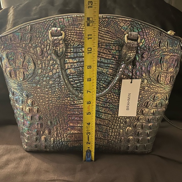 Mother of pearl Brahmin - Picture 6 of 8